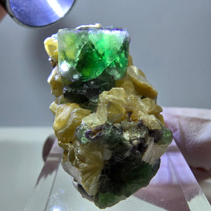 Cube de fluorite fantôme, zonal, muscovite, spécimen de tourmaline Schorl, Erongo, Namibie, 35 x 21 x 20 mm 