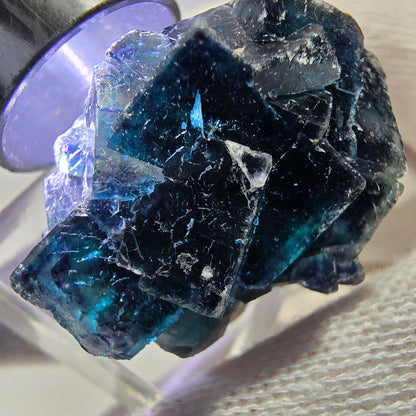 Spécimen de cube de fluorite fantôme, zonal – Nouvelle découverte ! Okorusu, Namibie, 37 x 27 x 23 mm 