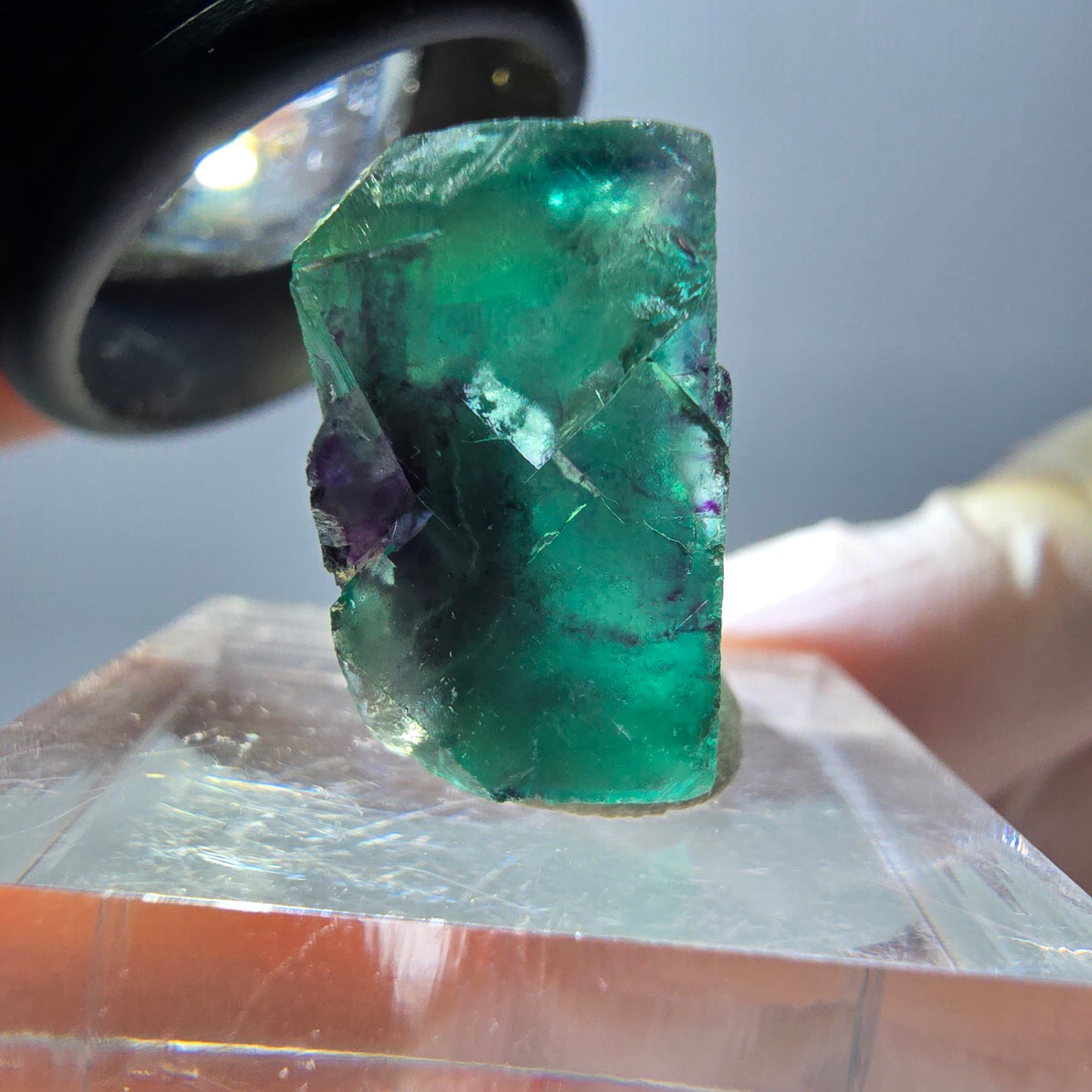 Phantom Fluorit Würfel Stufe, parkettiert grün lila Okorusu, Namibia 17*17*11mm