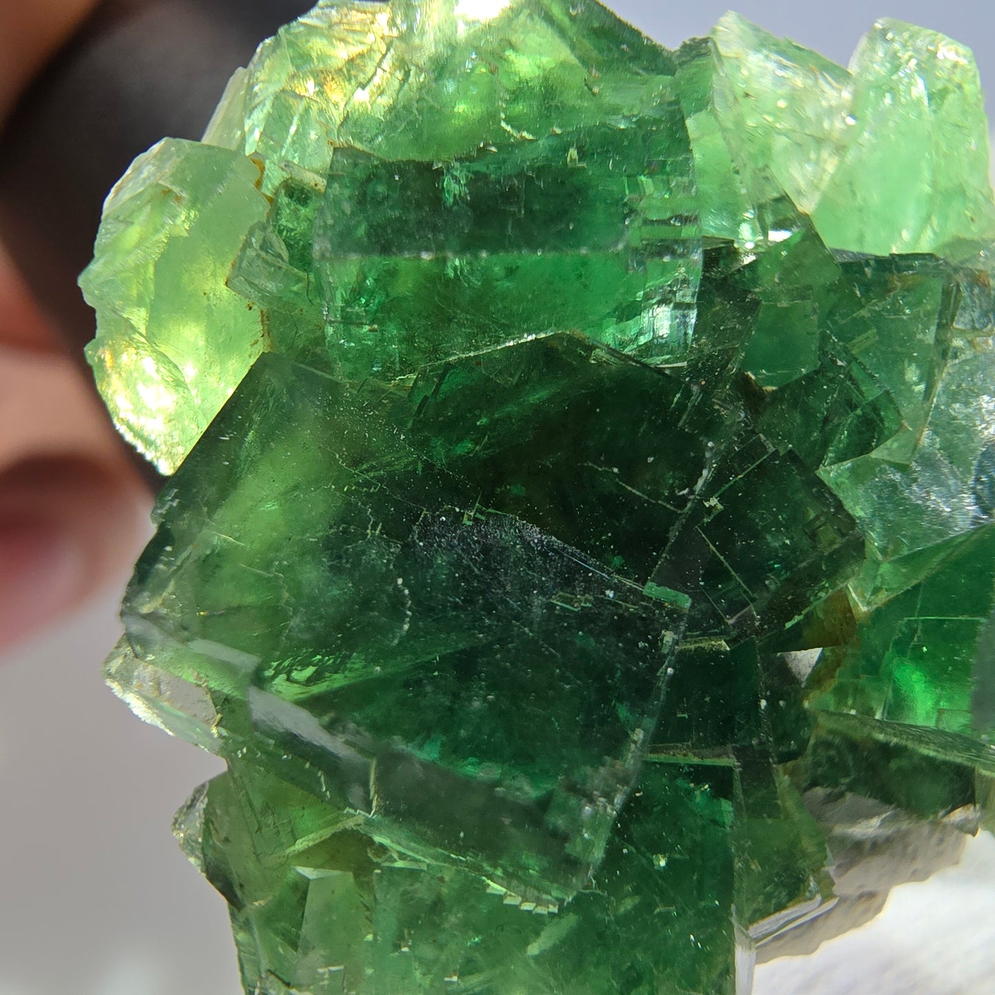 Rare spécimen de cube de fluorite fantôme, parqueté, vert Okorusu, Namibie 36*32*16 mm 
