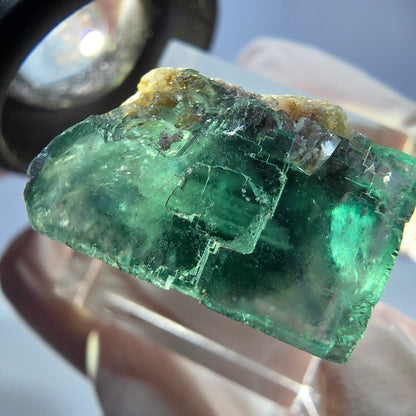 Cube de fluorite fantôme transparente parquetée, vert Okorusu, Namibie 20 x 19 x 15 mm 