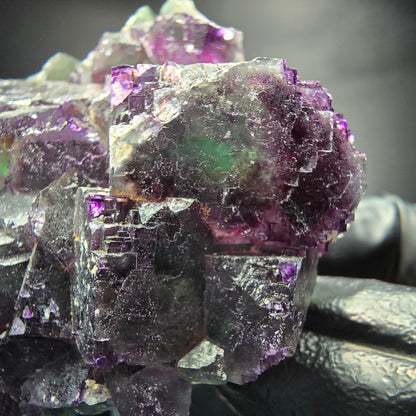 Seltene zonare Fluorit Würfel Stufe parkettiert Okorusu, Namibia 66*47*30mm