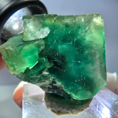 Phantom Fluorit Würfel Stufe, grün lila Okorusu, Namibia 27*25*17mm