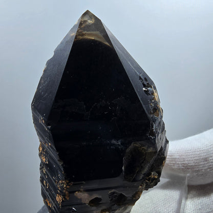 Sceptre de poche en quartz fumé squelette fantôme lémurien, Goboboseb de la Saint-Valentin, Namibie, 66 x 41 x 36 mm 