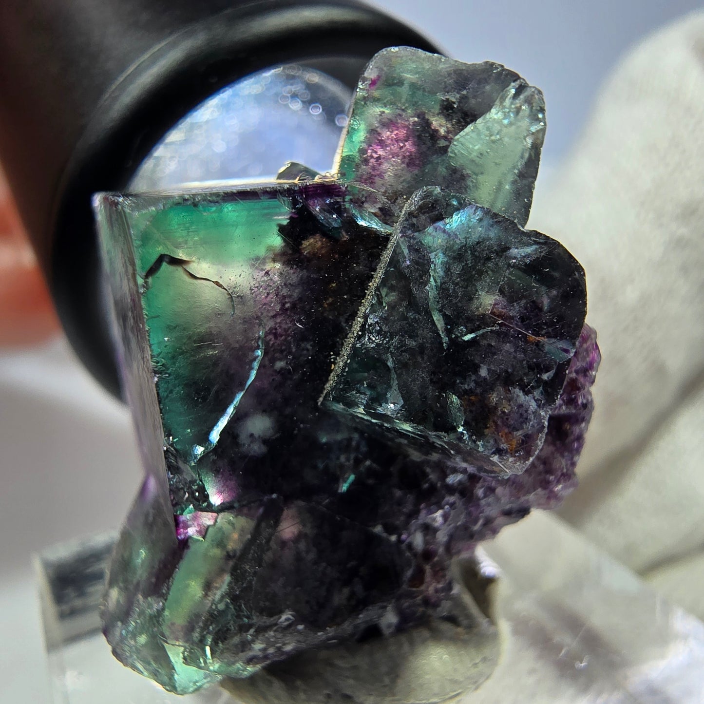 Spécimen rare de cube de fluorite fantôme, vert zonal et violet, Okorusu, Namibie, 27 x 23 x 20 mm 