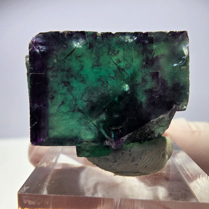 Rare cube de fluorite fantôme parqueté vert violet Okorusu Namibie 30*25*13mm 