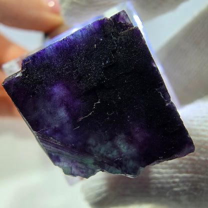 Rare cube de fluorite fantôme, vert violet zonal Okorusu, Namibie 24 x 20 x 20 mm 