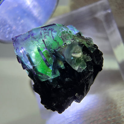 Cube de fluorite fantôme zonal, tourmaline muscovite Schörl hyalite Erongo, Namibie 21 x 15 x 15 mm 