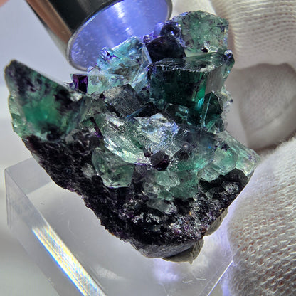 Spécimen rare de cube de fluorite fantôme, vert zonal et violet, Okorusu, Namibie, 38 x 32 x 13 mm 