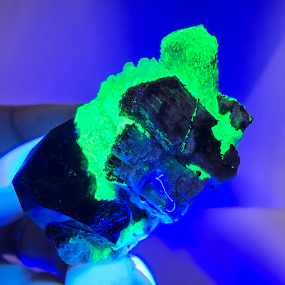 Spécimen rare de tourmaline Schorl et d'opale hyalite, Erongo, Namibie, 43 x 24 x 24 mm 