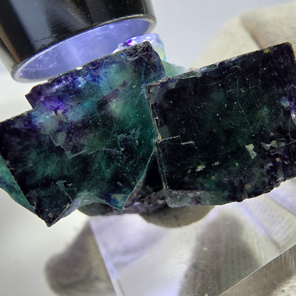 Rare spécimen de cube de fluorite fantôme, vert-violet zonal, Okorusu, Namibie, 39 x 24 x 16 mm 