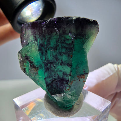 Rare cube de fluorite fantôme parqueté vert violet Okorusu Namibie 32*31*22mm 
