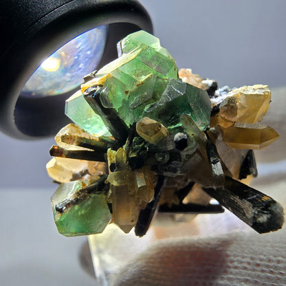 Fluorite fantôme hexagonale, tourmaline Schörl, quartz fumé, hyalite, Erongo, Namibie, 34 x 30 x 31 mm 
