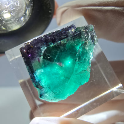 Phantom Fluorit Würfel Stufe, parkettiert grün lila Okorusu, Namibia 18*15*13mm