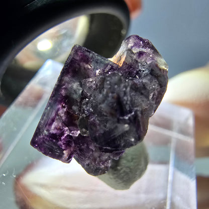 Phantom Fluorit Würfel Stufe, parkettiert grün lila Okorusu, Namibia 15*15*10mm