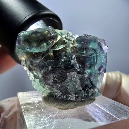 Spécimen de cube de fluorite fantôme, parqueté vert violet Okorusu, Namibie 29*21*12 mm 