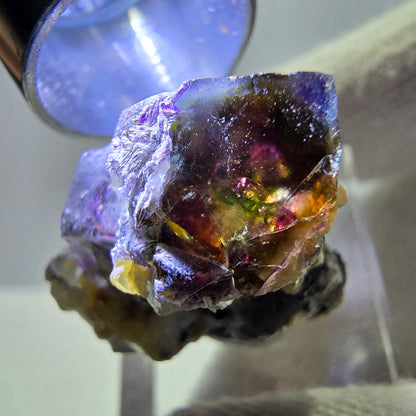 Spécimen de fluorite fantôme colorée, tourmaline scholle, muscovite, Erongo, Namibie, 27 x 24 x 18 mm 