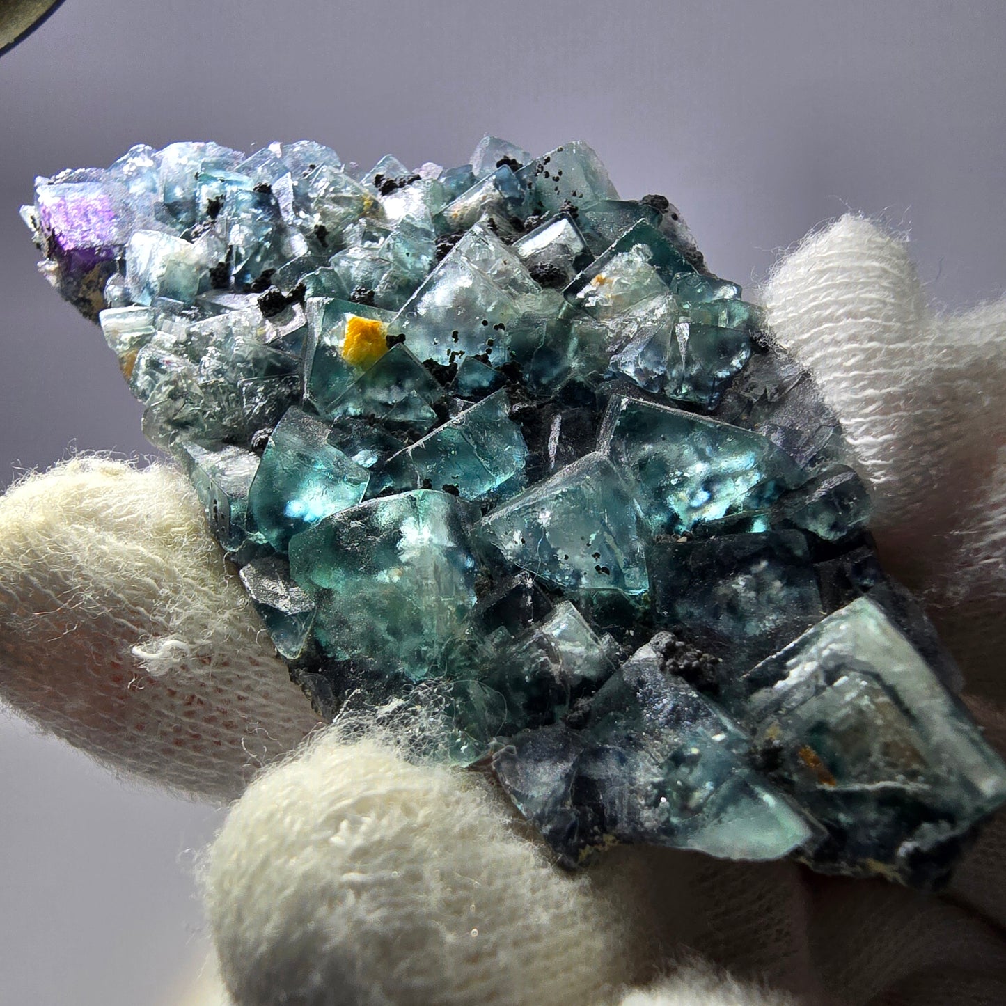 Cubes rares de fluorite fantôme zonale, vert violet, Erongo, Namibie 74 x 41 x 9 mm 