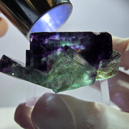Rare Fluorite Cube Specimen, green purple Okorusu, Namibia 33*20*13mm 