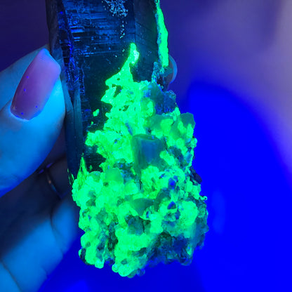 Quartz fumé squelette fantôme, spécimen d'hyalite, Erongo, Namibie, 105 x 42 x 31 mm 
