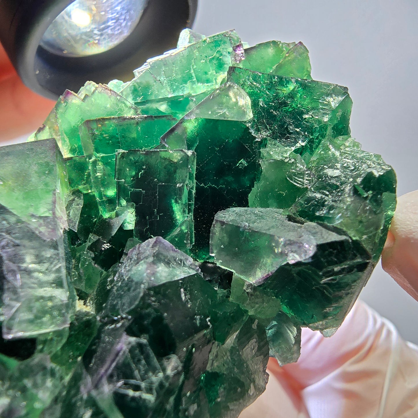Spécimen de cube de fluorite fantôme parqueté vert violet Okorusu, Namibie 62*44*26mm 