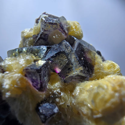 Cubes de fluorite fantôme colorés, hyalite, spécimen de muscovite, Erongo, Namibie, 42 x 39 x 28 mm 