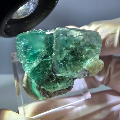 Spécimen de cube de fluorite fantôme, parquet vert Okorusu, Namibie 29 x 22 x 19 mm 