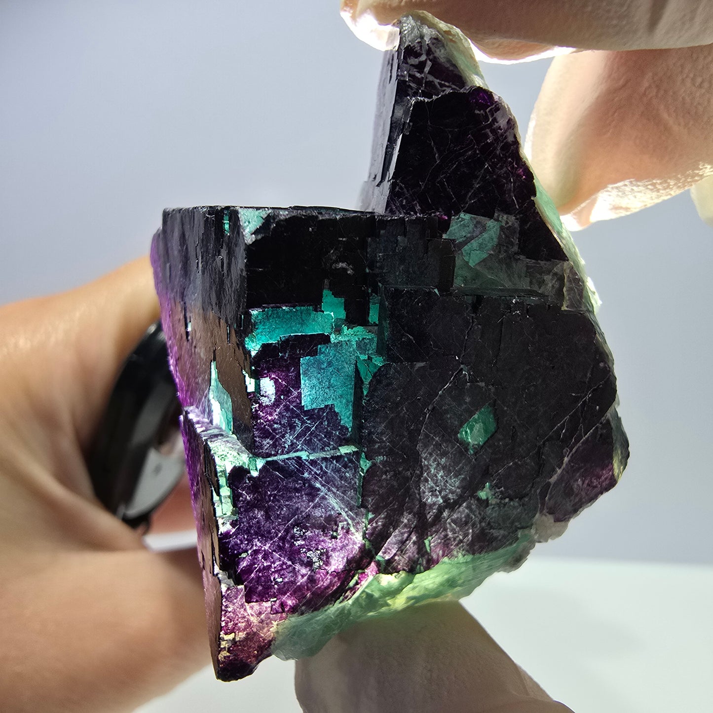Spécimen de cube de fluorite fantôme vert violet zonal 11:11 Angel Pocket, Namibie 54*38*38mm 