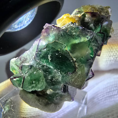 Cube de fluorite fantôme zonal, tourmaline muscovite Schörl hyalite Erongo, Namibie 36 x 21 x 17 mm 