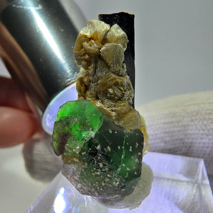 Cube de fluorite fantôme, muscovite et tourmaline Schorl, spécimen d'Erongo, Namibie, 29 x 19 x 17 mm 