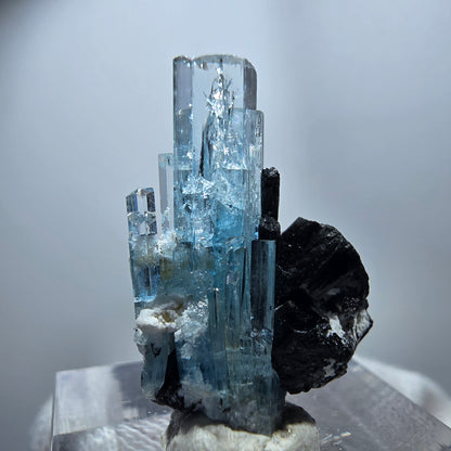 Seltener Aquamarin X mit Schörl Turmalin Erongo, Namibia 26*20*12mm
