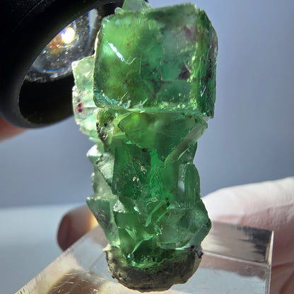 Spécimen de cube de fluorite fantôme, vert violet, Okorusu, Namibie, 34 x 27 x 13 mm 