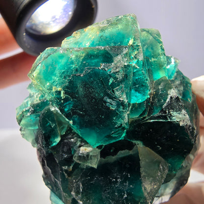 Spécimen de cube de fluorite fantôme, parqueté vert violet Okorusu, Namibie 53*49*28 mm 