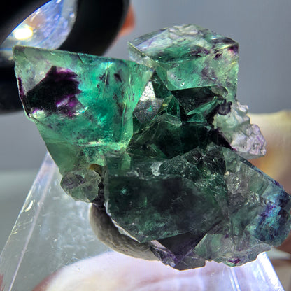 Phantom Fluorit Würfel Stufe, parkettiert grün lila Okorusu, Namibia 31*25*14mm