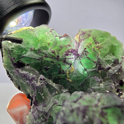 Cube de fluorite fantôme, zonal, muscovite, spécimen de tourmaline Schorl, Erongo, Namibie, 50 x 36 x 36 mm 