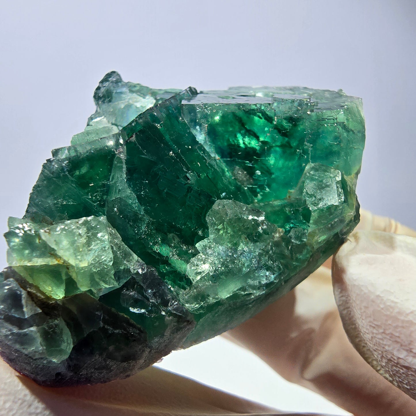 Spécimen de cube de fluorite fantôme, parqueté vert violet Okorusu, Namibie 59*39*24 mm 