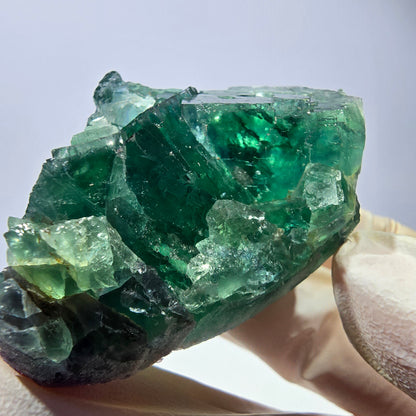 Spécimen de cube de fluorite fantôme, parqueté vert violet Okorusu, Namibie 59*39*24 mm 