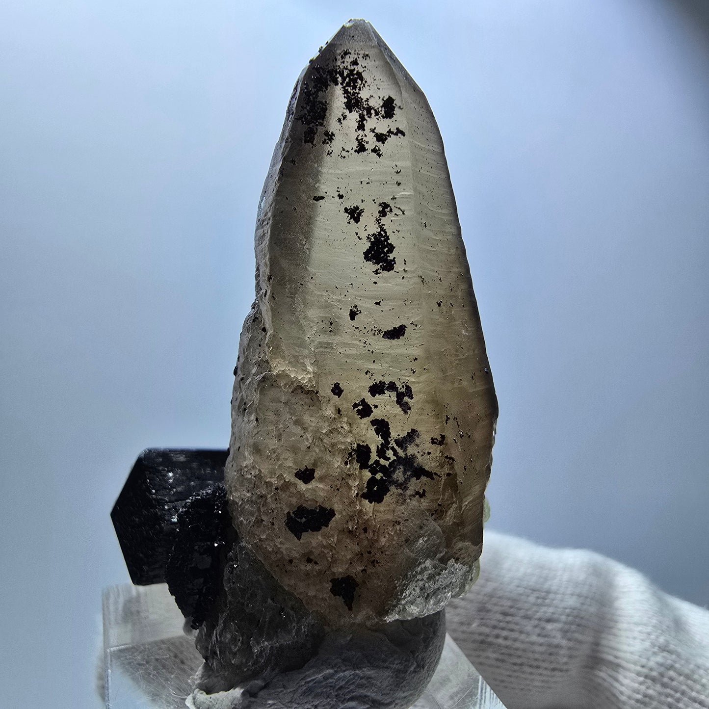 Lemurain Skelett Rauchquarz, Schörl Turmalin, Hyalit Erongo, Namibia 51*38*24mm