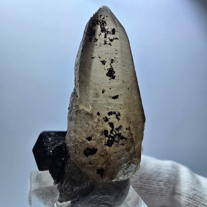 Lemurain Skelett Rauchquarz, Schörl Turmalin, Hyalit Erongo, Namibia 51*38*24mm