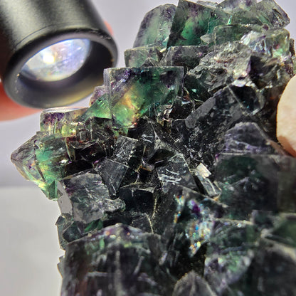 Phantom Fluorite Cube Specimen, parquetted green purple Okorusu, Namibia 52*41*18mm 