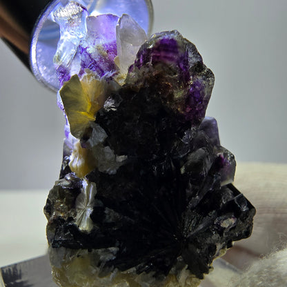 Spécimen de fluorite fantôme colorée, tourmaline schol, muscovite, quartz fumé, Erongo, Namibie, 35 x 25 x 20 mm 