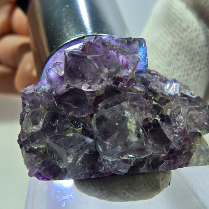 Spécimen de cube de fluorite fantôme transparente, vert-violet zonal, Okorusu, Namibie, 27 x 20 x 12 mm 