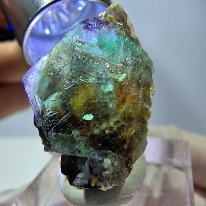 Cube hexagonal de fluorite fantôme, muscovite, tourmaline Schörl, Erongo, Namibie 27 x 20 x 18 mm 