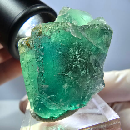 Seltene Phantom Fluorit Würfel Stufe, grün Okorusu, Namibia 41*37+21mm
