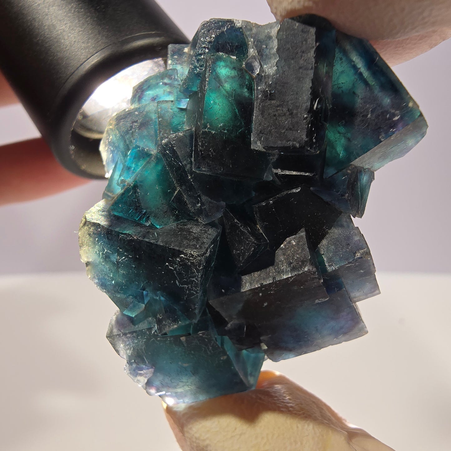 Rare spécimen de cube de fluorite fantôme, poche papillon, Okorusu, Namibie, 51 x 39 x 24 mm