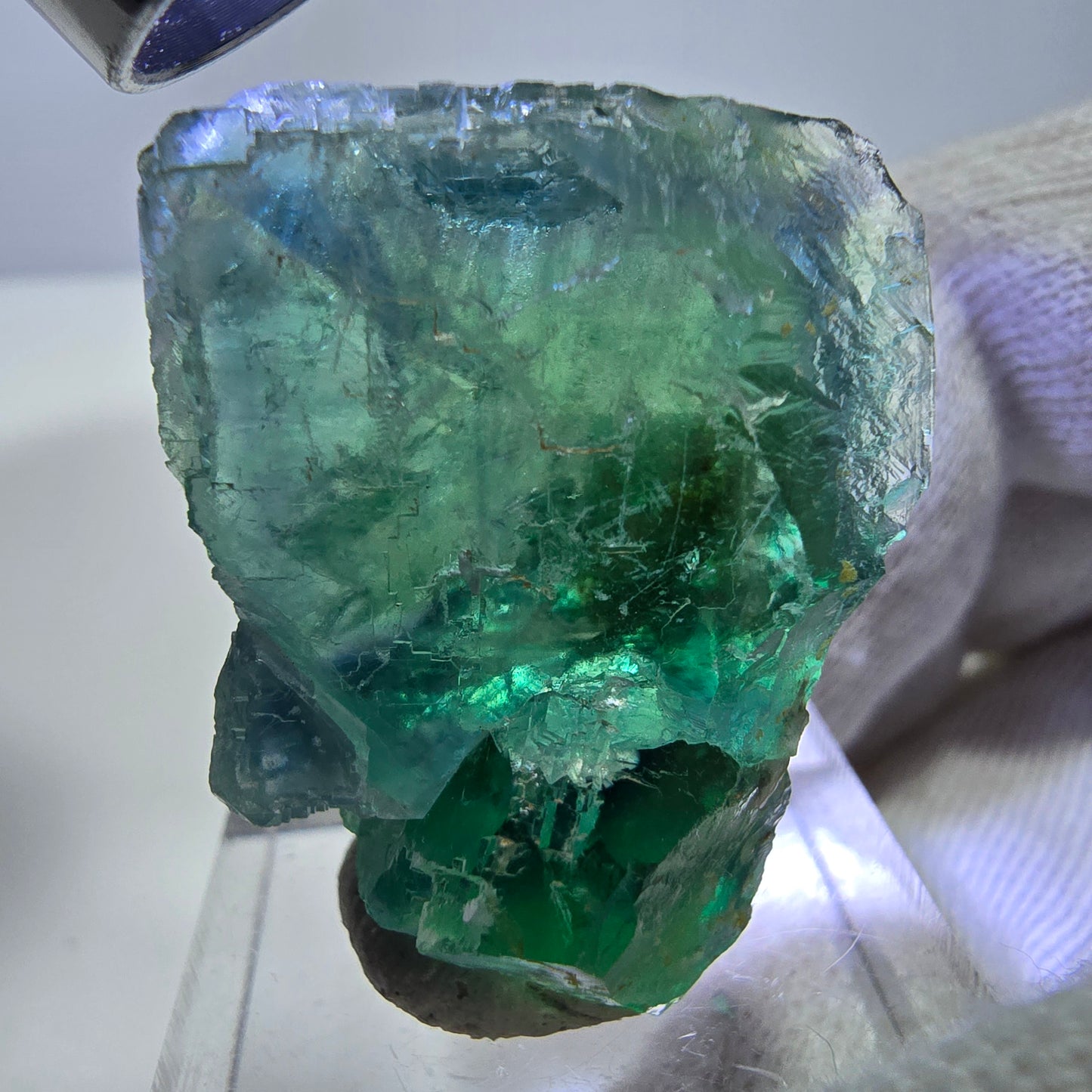 Spécimen de cube de fluorite fantôme, parqueté, vert turquoise Okorusu, Namibie 29*24*19mm 