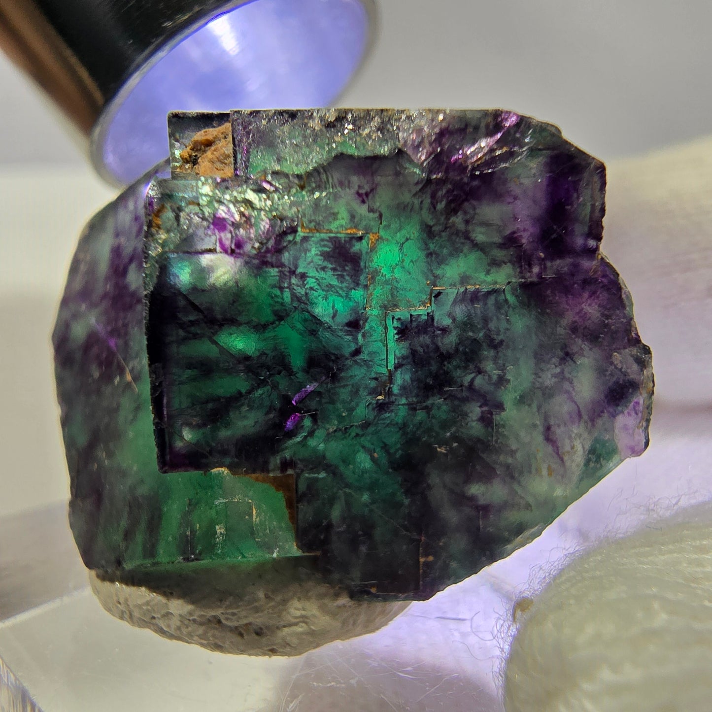 Spécimen rare de cube de fluorite fantôme, vert zonal et violet, Okorusu, Namibie, 30 x 21 x 17 mm 