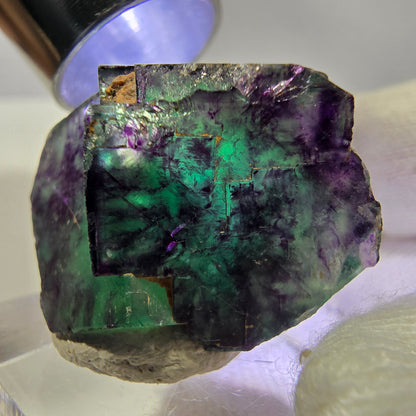Spécimen rare de cube de fluorite fantôme, vert zonal et violet, Okorusu, Namibie, 30 x 21 x 17 mm 