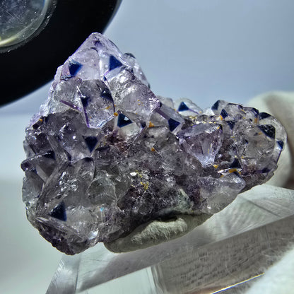 Spécimen rare de cube de fluorite fantôme zonal blanc violet Okorusu, Namibie 35*23*16mm 
