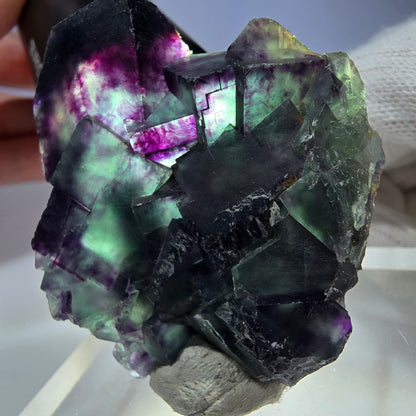 Spécimen rare de cube de fluorite fantôme, vert zonal et violet, Okorusu, Namibie, 49 x 47 x 18 mm 